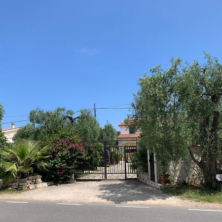 Villa Monica Appartamenti Vieste Exteriér fotografie