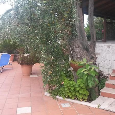 Villa Monica Appartamenti Vieste Exteriér fotografie