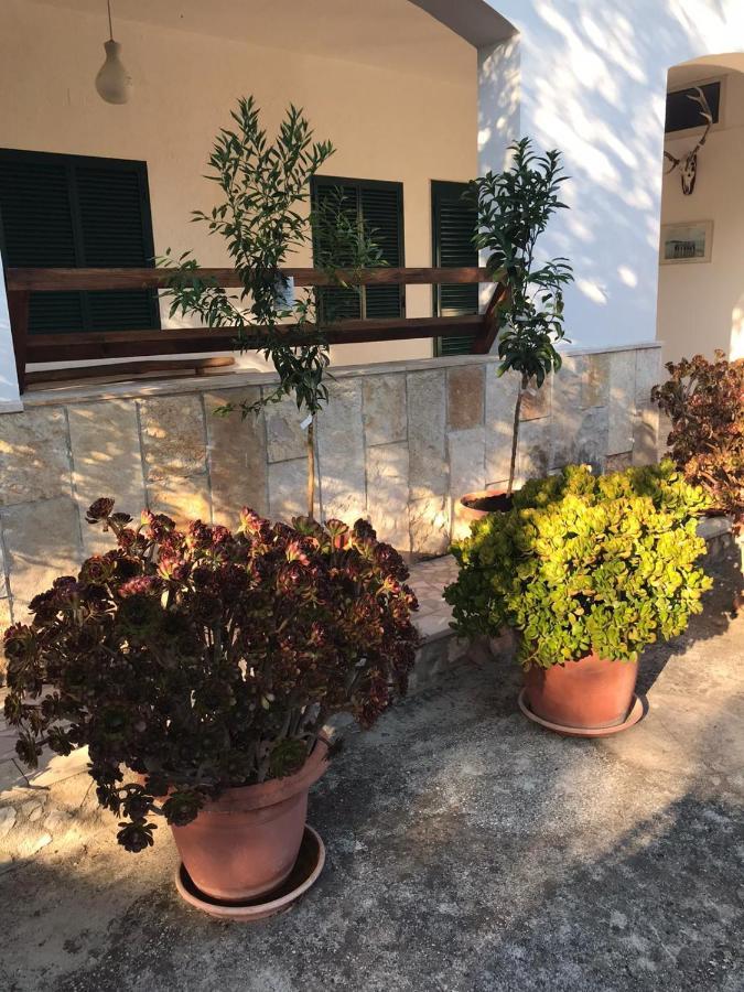 Villa Monica Appartamenti Vieste Exteriér fotografie