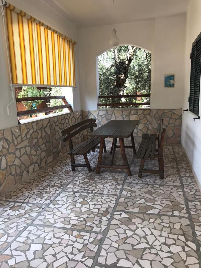 Villa Monica Appartamenti Vieste Exteriér fotografie