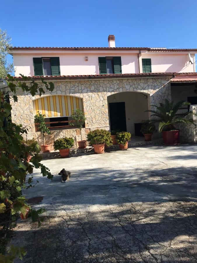 Villa Monica Appartamenti Vieste Exteriér fotografie