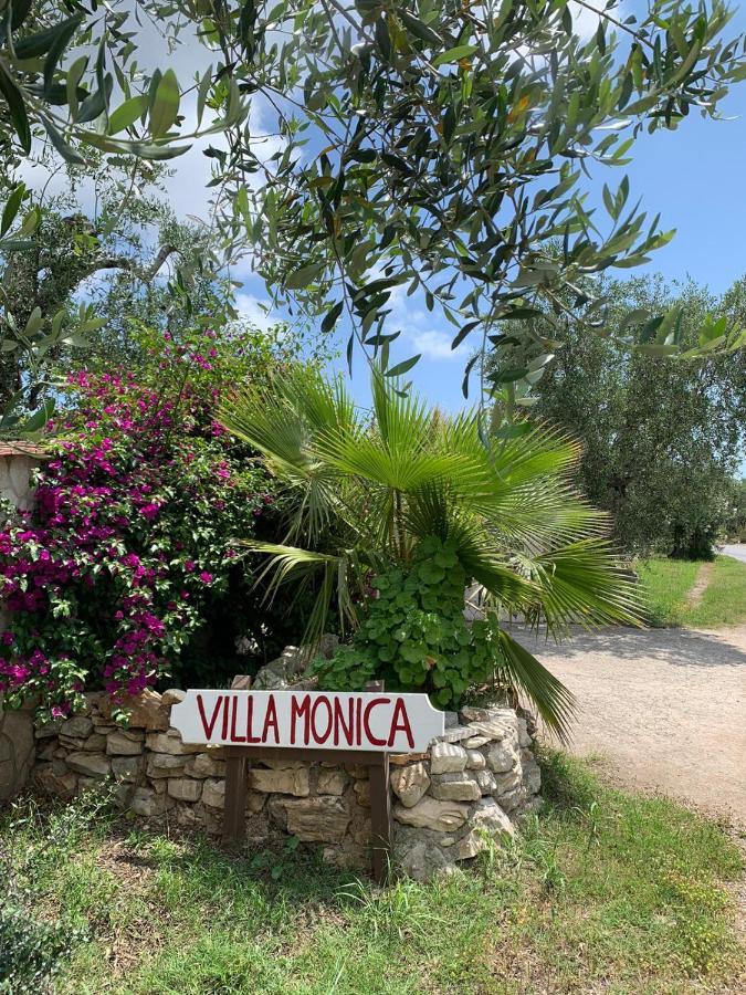 Villa Monica Appartamenti Vieste Exteriér fotografie