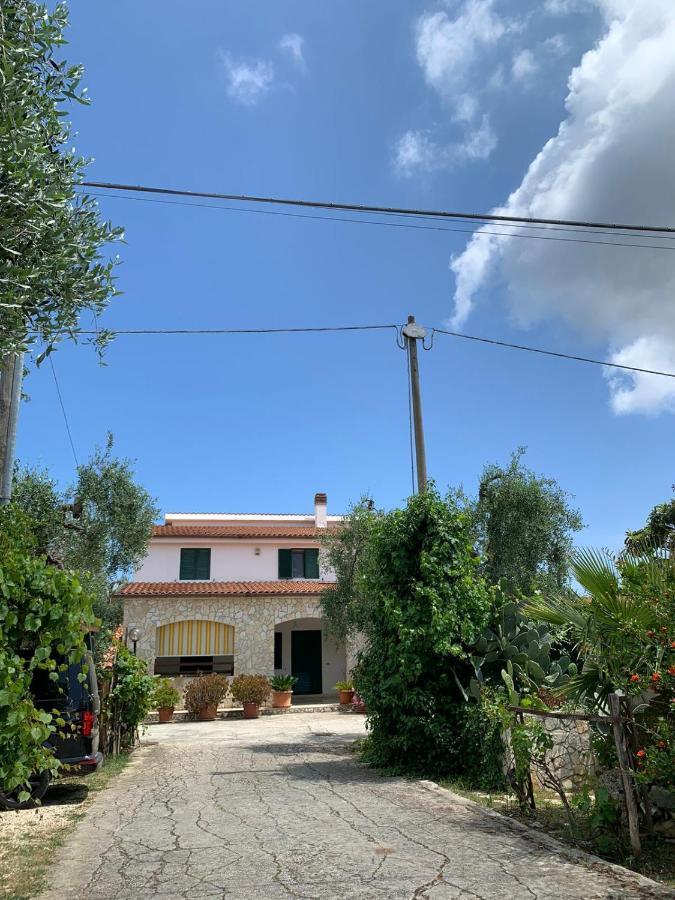 Villa Monica Appartamenti Vieste Exteriér fotografie