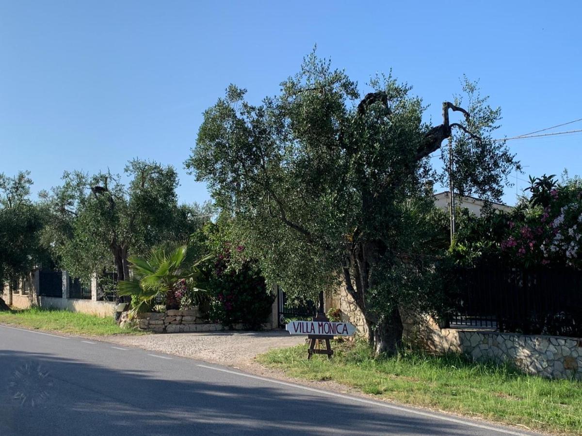 Villa Monica Appartamenti Vieste Exteriér fotografie