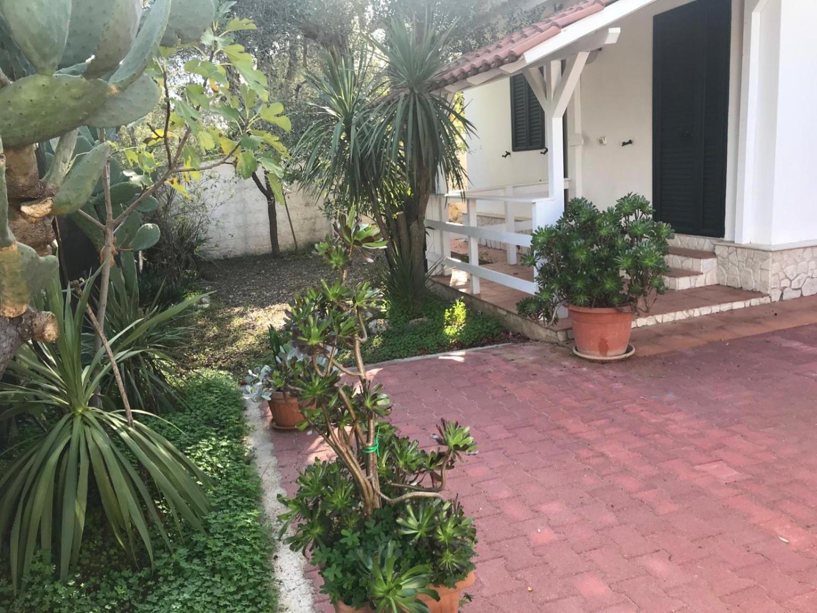 Villa Monica Appartamenti Vieste Exteriér fotografie