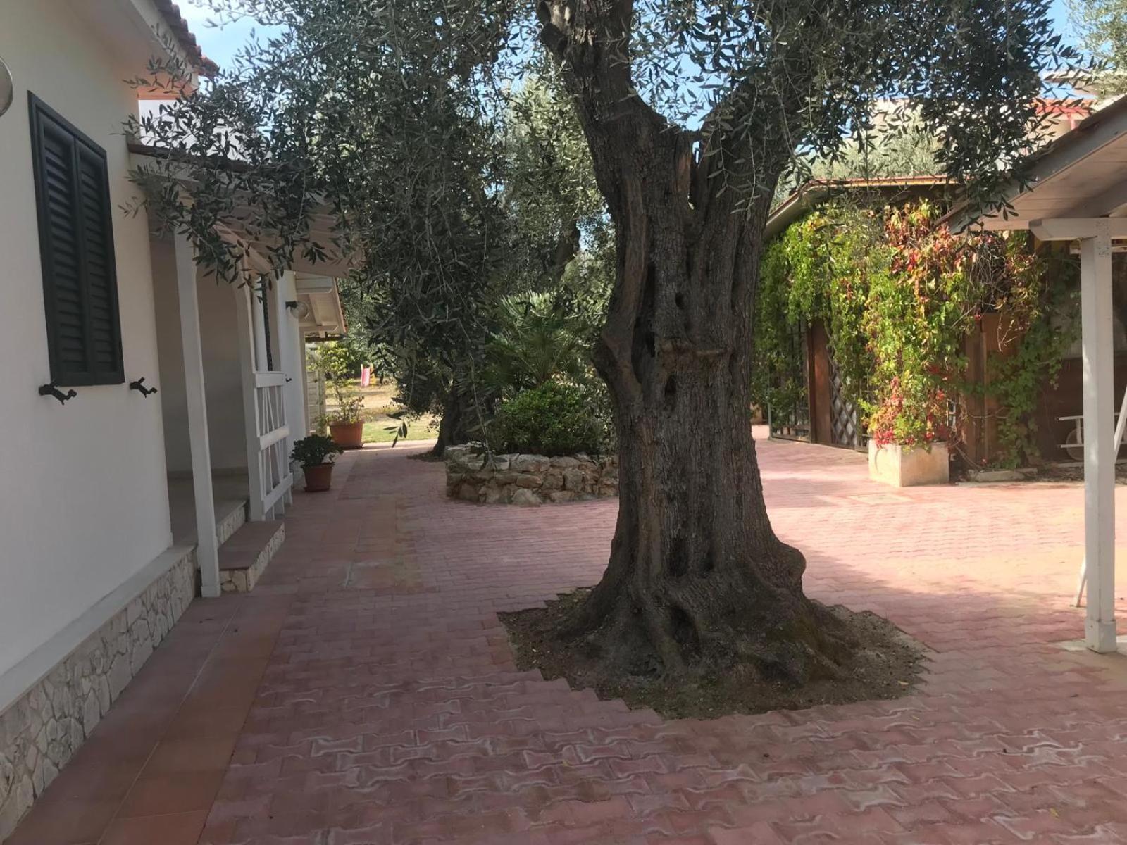 Villa Monica Appartamenti Vieste Exteriér fotografie
