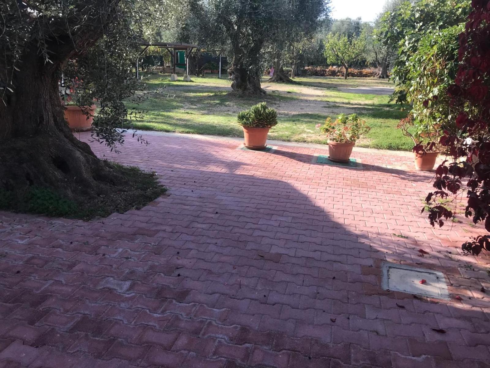Villa Monica Appartamenti Vieste Exteriér fotografie