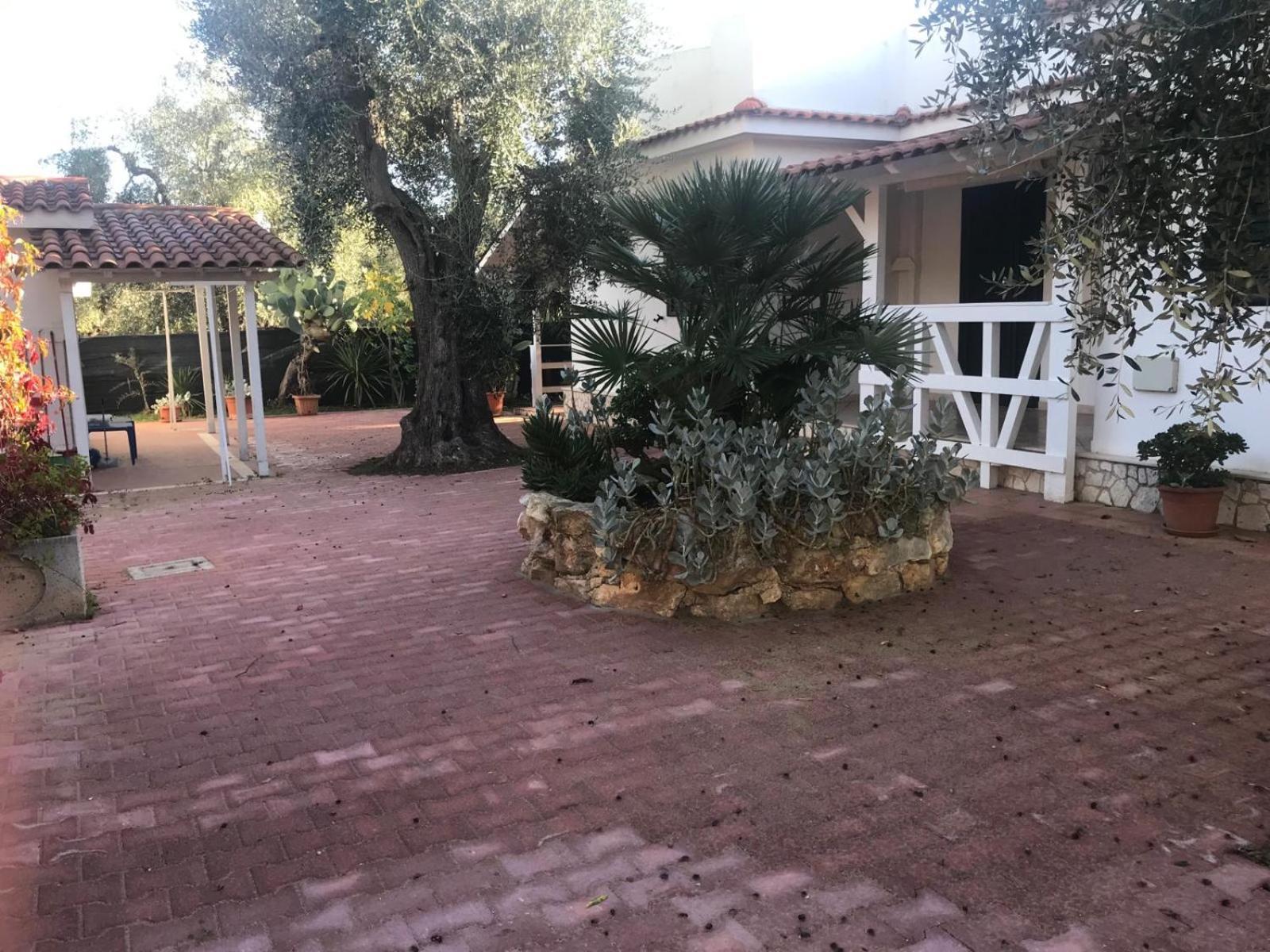 Villa Monica Appartamenti Vieste Exteriér fotografie