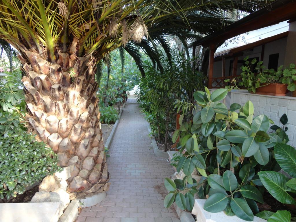 Villa Monica Appartamenti Vieste Exteriér fotografie