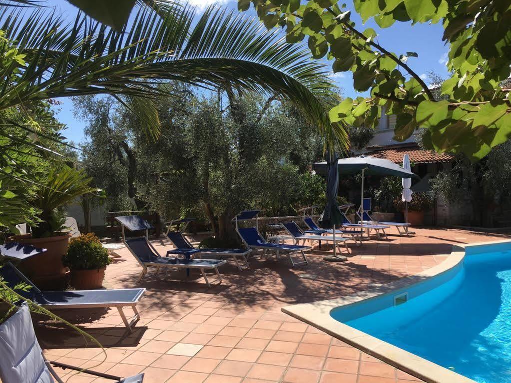 Villa Monica Appartamenti Vieste Exteriér fotografie