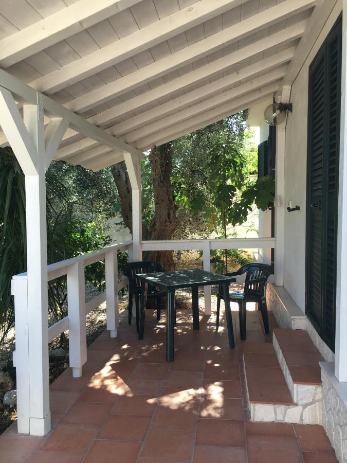 Villa Monica Appartamenti Vieste Exteriér fotografie
